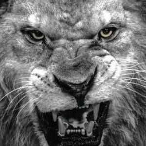 Meet your Posher, Israel